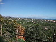 mpa Falconiera-Vecchia ferrovia 20100131 065